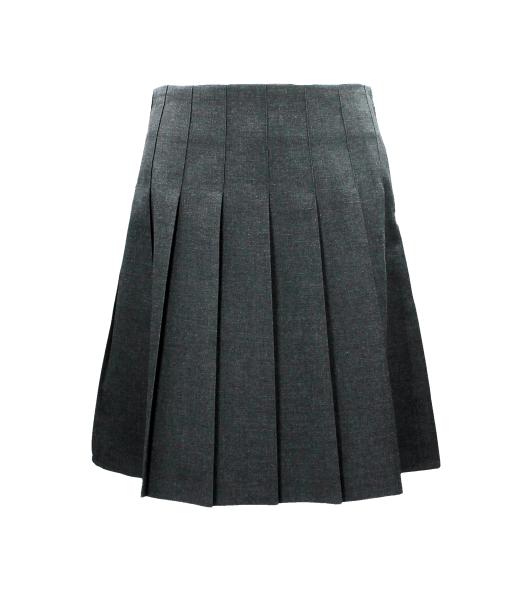 GREY PLEATED JUNIOR SKIRT Image