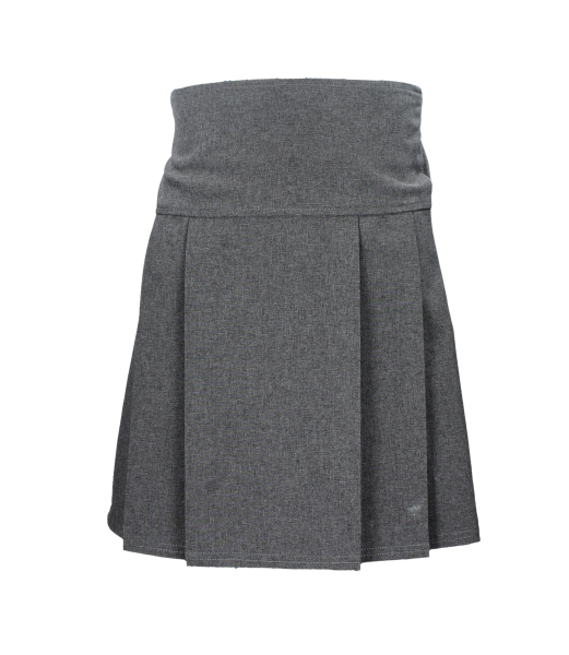 GREY PLEATED JUNIOR SKIRT Image