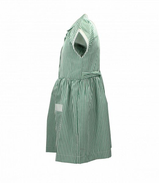 GREEN STRIPED SUMMER DRESS Image