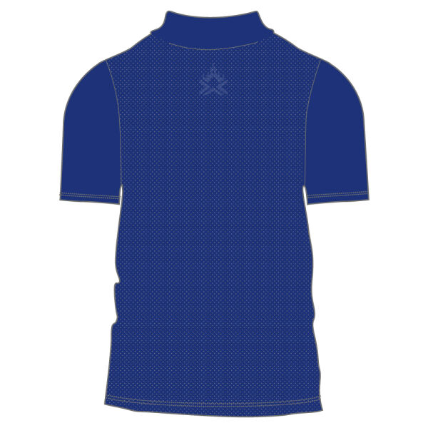 AUSA SPORTS MALE CLUB DRY POLO ROYAL Image