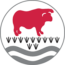 The Bulmershe School Logo