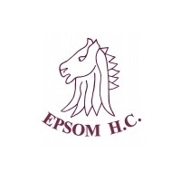 Epsom Hockey Club, Epsom Logo