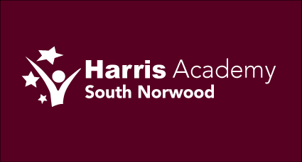 Harris Academy, South Norwood Logo