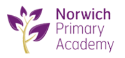 Norwich Primary Academy, Norwich Logo