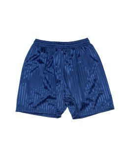 NAVY SHADOW STRIPE SHORTS Image