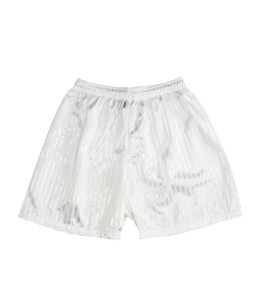 WHITE SHADOW STRIPE SHORTS Image