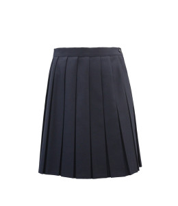 NAVY BOX PLEAT SKIRT Image