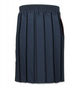NAVY JUNIOR BOX PLEAT SKIRT Image