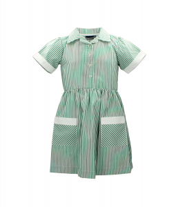 GREEN STRIPED SUMMER DRESS Image