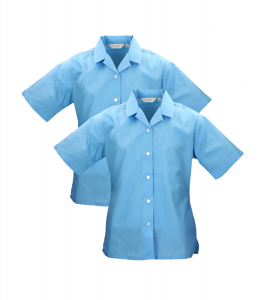 BLUE BLOUSES O/N SHORT SLEEVE Image