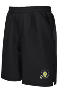 WEST OF SCOTLAND CC TRAINING SHORTS SNR Image