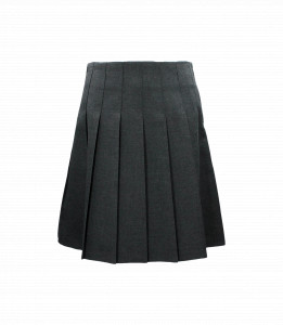GREY PLEATED JUNIOR SKIRT Image