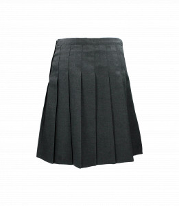 GREY PLEATED JUNIOR SKIRT Image