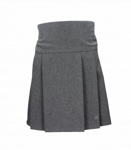GREY PLEATED JUNIOR SKIRT Image