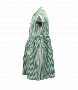 GREEN STRIPED SUMMER DRESS Image