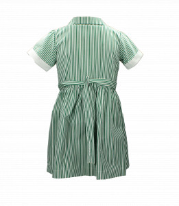 GREEN STRIPED SUMMER DRESS Image