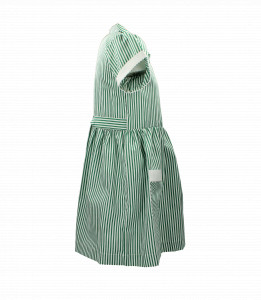 GREEN STRIPED SUMMER DRESS Image